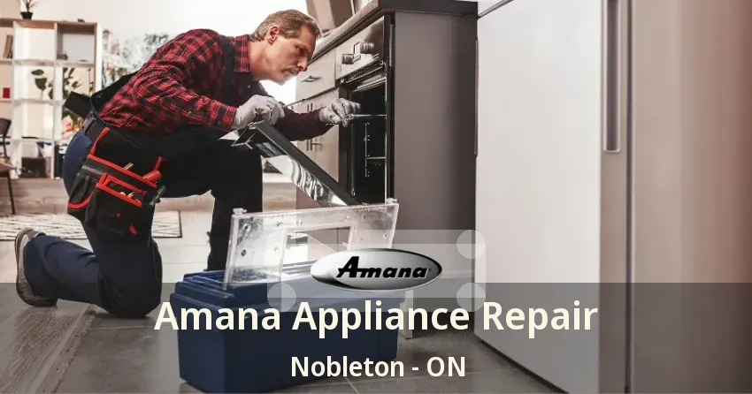 Amana Appliance Repair Nobleton - ON