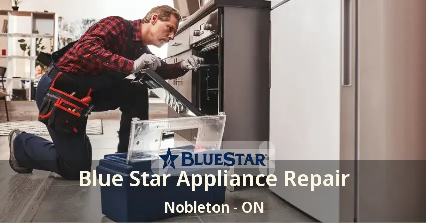 Blue Star Appliance Repair Nobleton - ON