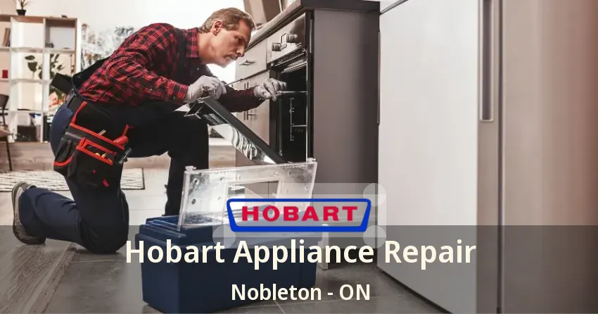 Hobart Appliance Repair Nobleton - ON