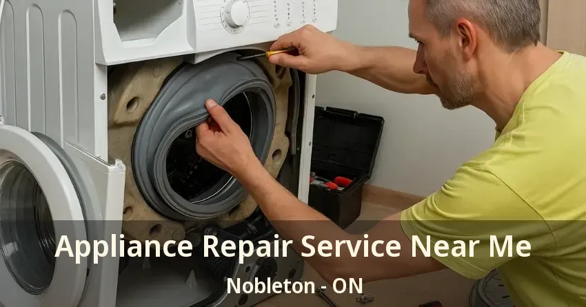 Appliance Repair Service Near Me Nobleton - ON