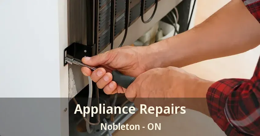 Appliance Repairs Nobleton - ON