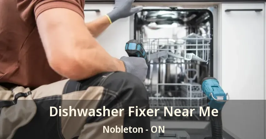 Dishwasher Fixer Near Me Nobleton - ON