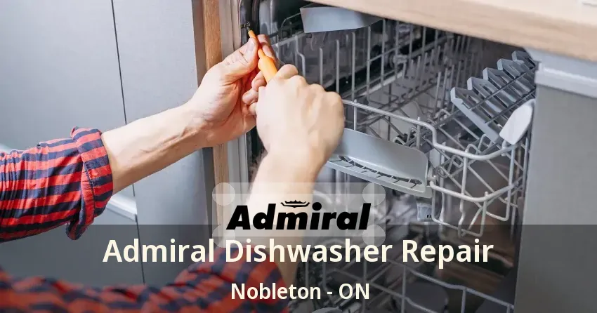 Admiral Dishwasher Repair Nobleton - ON