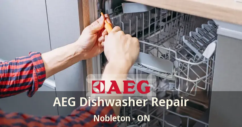 AEG Dishwasher Repair Nobleton - ON