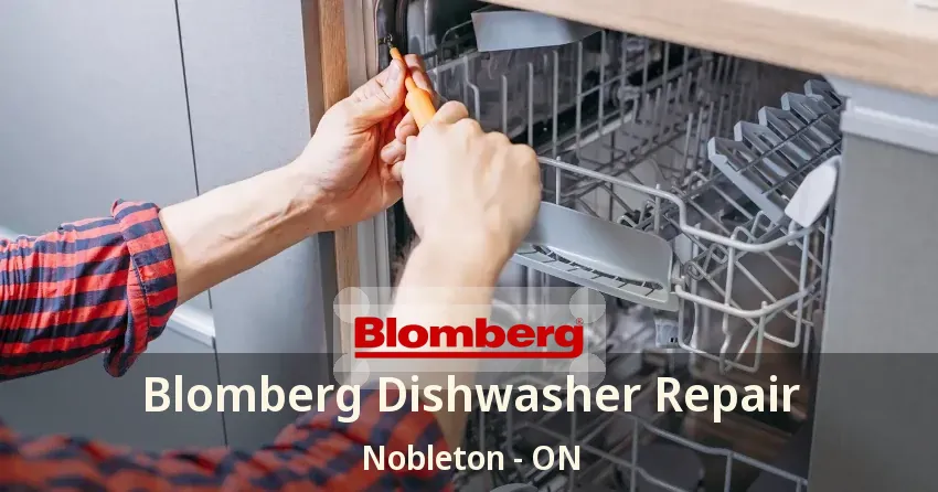 Blomberg Dishwasher Repair Nobleton - ON