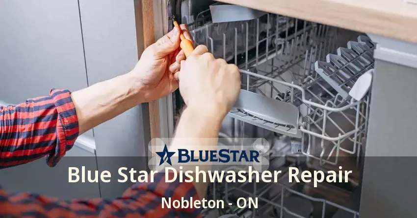 Blue Star Dishwasher Repair Nobleton - ON