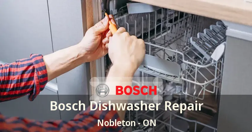 Bosch Dishwasher Repair Nobleton - ON