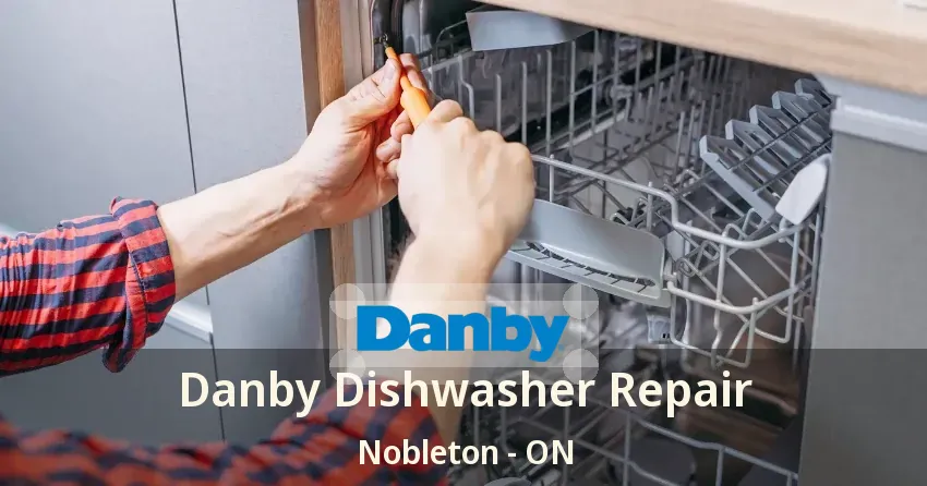 Danby Dishwasher Repair Nobleton - ON