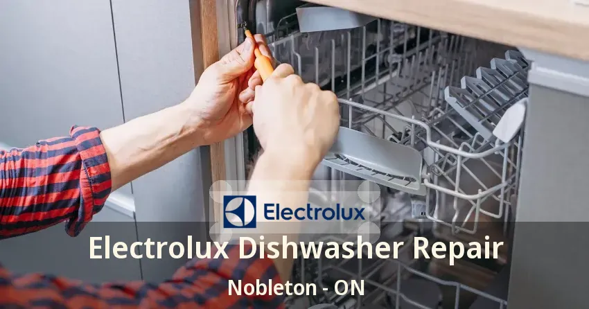 Electrolux Dishwasher Repair Nobleton - ON