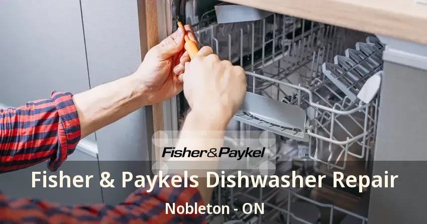 Fisher & Paykels Dishwasher Repair Nobleton - ON