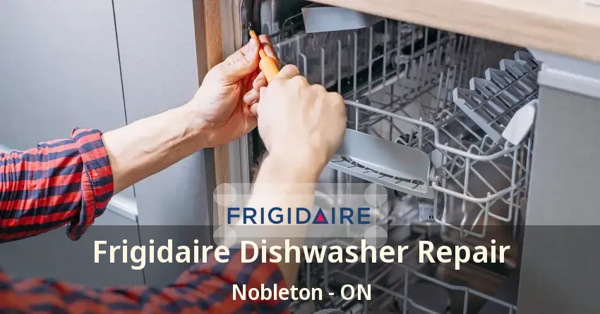 Frigidaire Dishwasher Repair Nobleton - ON