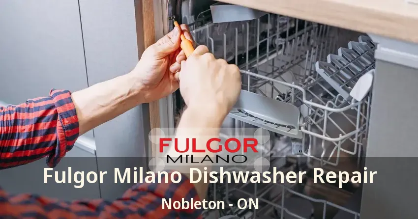 Fulgor Milano Dishwasher Repair Nobleton - ON