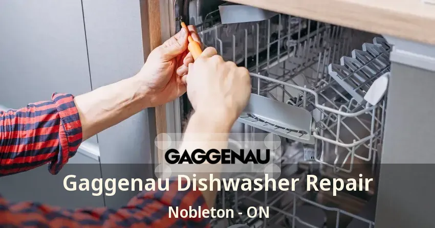 Gaggenau Dishwasher Repair Nobleton - ON