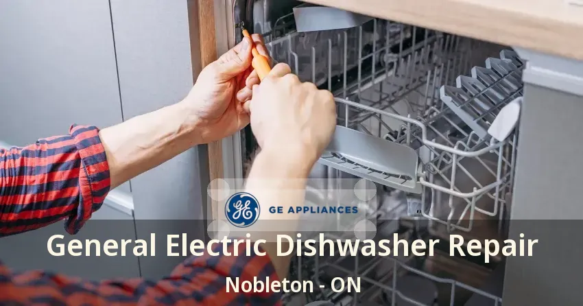 General Electric Dishwasher Repair Nobleton - ON