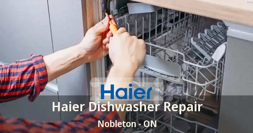 Haier Dishwasher Repair Nobleton - ON