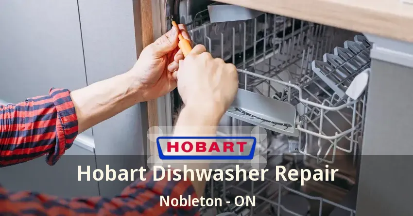 Hobart Dishwasher Repair Nobleton - ON