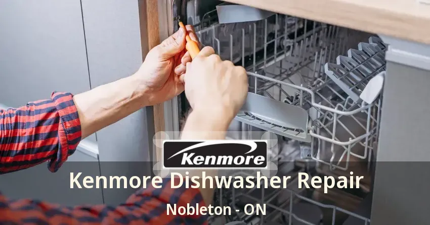Kenmore Dishwasher Repair Nobleton - ON