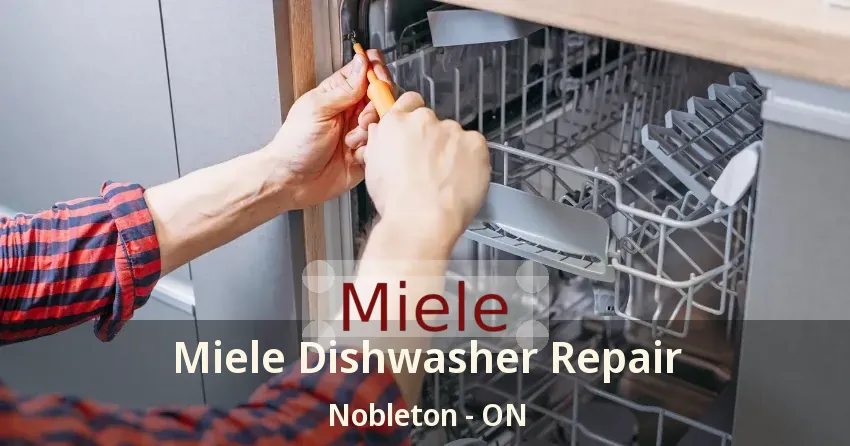 Miele Dishwasher Repair Nobleton - ON
