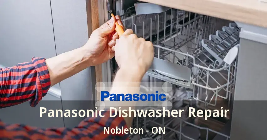 Panasonic Dishwasher Repair Nobleton - ON