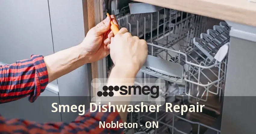 Smeg Dishwasher Repair Nobleton - ON