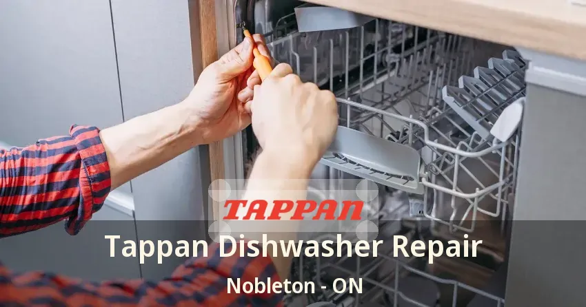 Tappan Dishwasher Repair Nobleton - ON