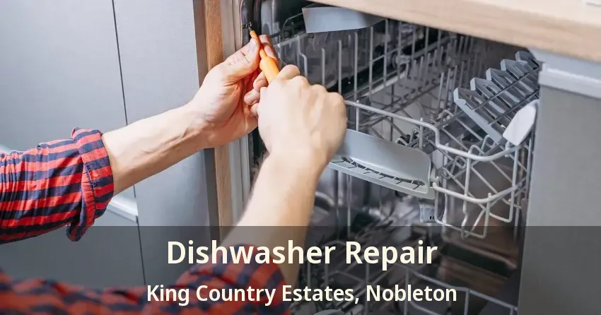 Dishwasher Repair King Country Estates, Nobleton - ON