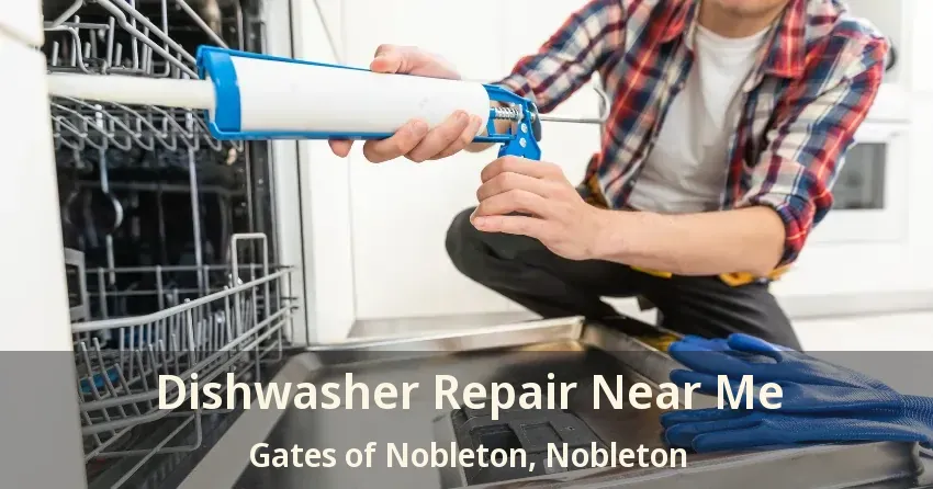 Dishwasher Repair Near Me Gates of Nobleton, Nobleton - ON