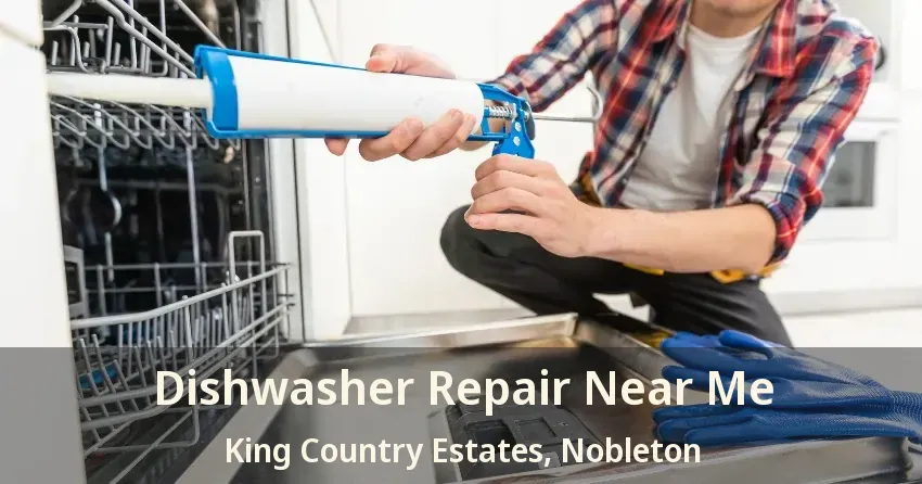 Dishwasher Repair Near Me King Country Estates, Nobleton - ON