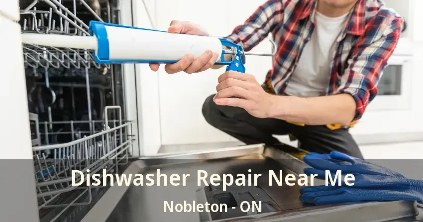 Dishwasher Repair Near Me Nobleton - ON