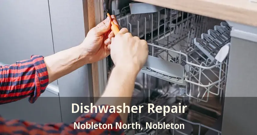 Dishwasher Repair Nobleton North, Nobleton - ON