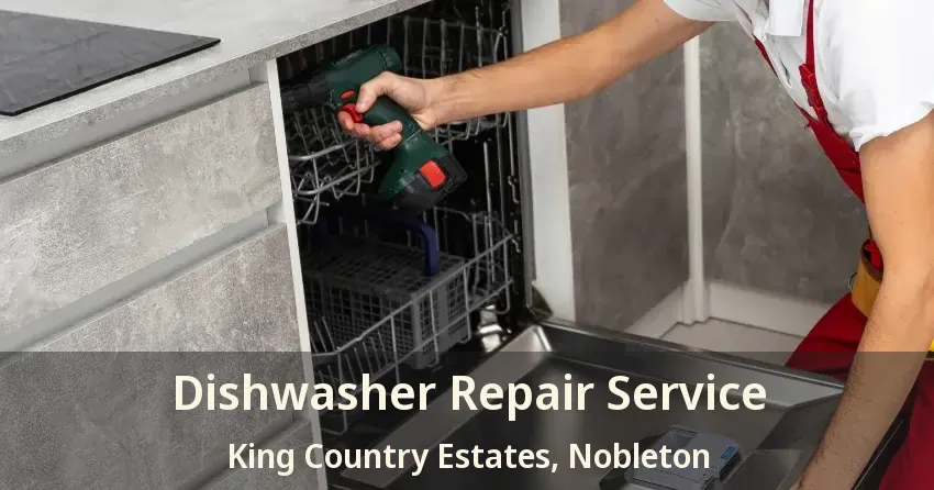 Dishwasher Repair Service King Country Estates, Nobleton - ON