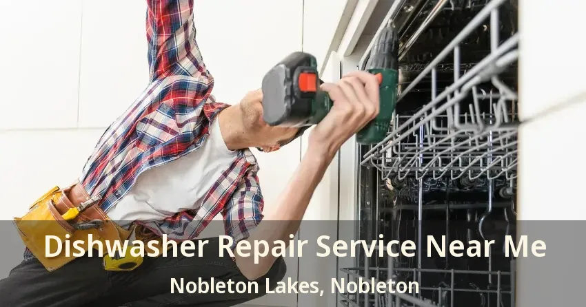 Dishwasher Repair Service Near Me Nobleton Lakes, Nobleton - ON