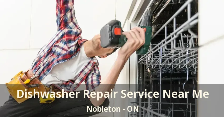 Dishwasher Repair Service Near Me Nobleton - ON