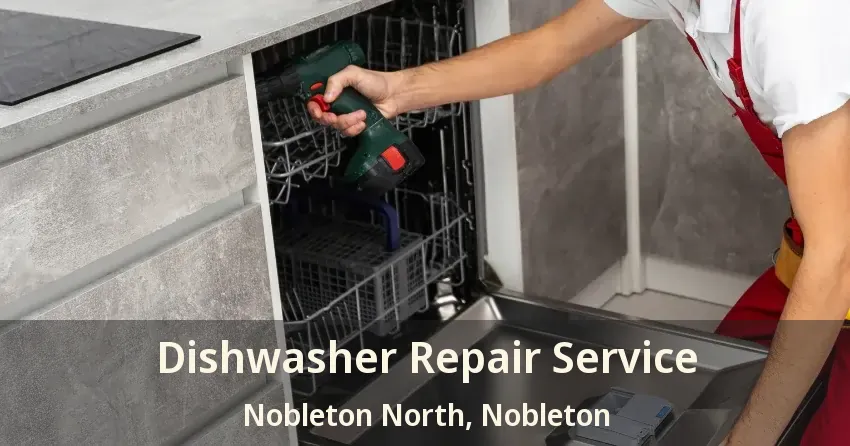 Dishwasher Repair Service Nobleton North, Nobleton - ON