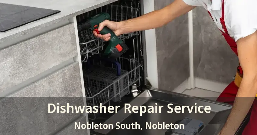 Dishwasher Repair Service Nobleton South, Nobleton - ON