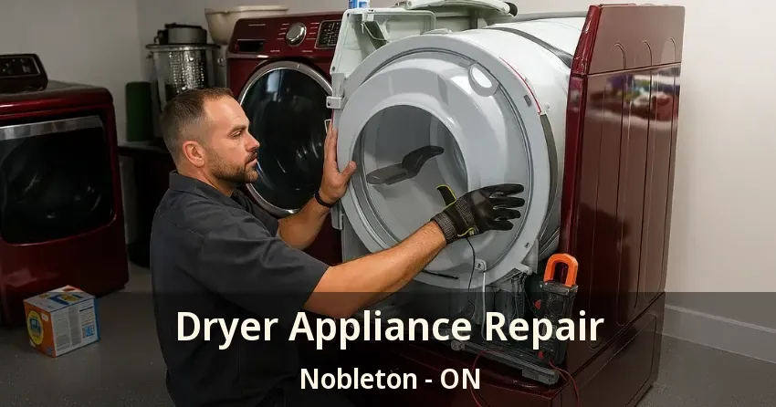 Dryer Appliance Repair Nobleton - ON