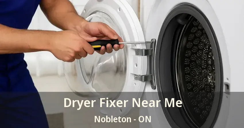 Dryer Fixer Near Me Nobleton - ON