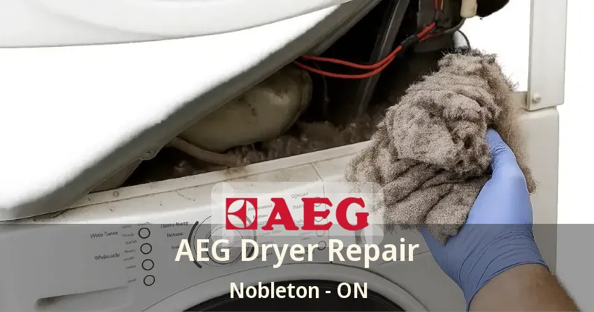 AEG Dryer Repair Nobleton - ON