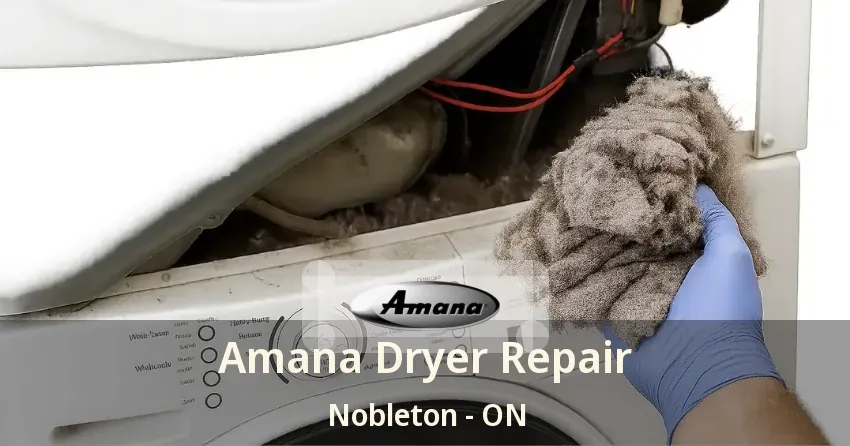 Amana Dryer Repair Nobleton - ON