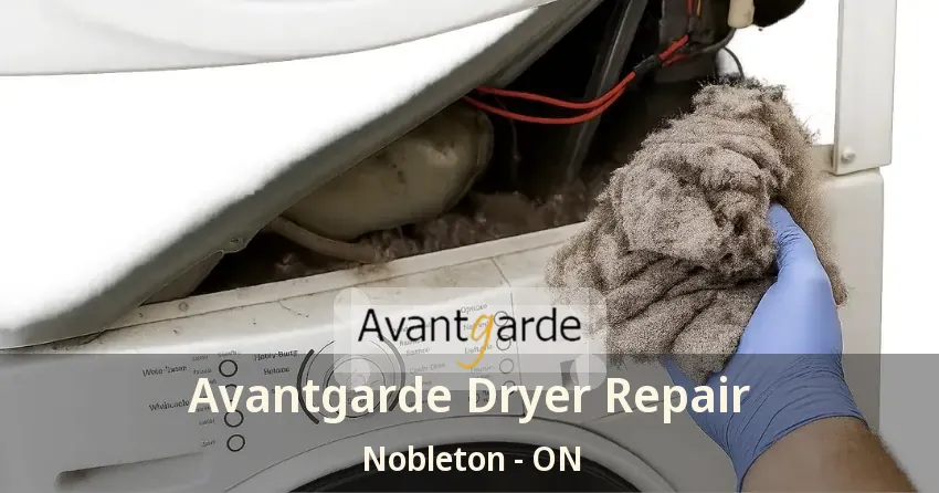 Avantgarde Dryer Repair Nobleton - ON