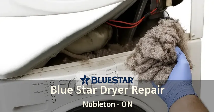 Blue Star Dryer Repair Nobleton - ON