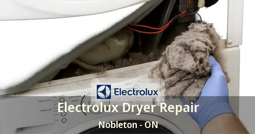 Electrolux Dryer Repair Nobleton - ON