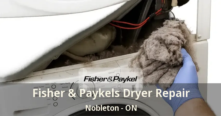 Fisher & Paykels Dryer Repair Nobleton - ON