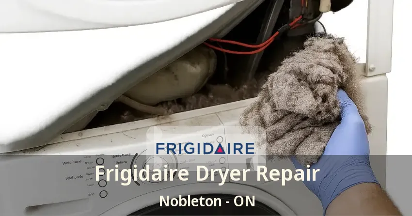 Frigidaire Dryer Repair Nobleton - ON