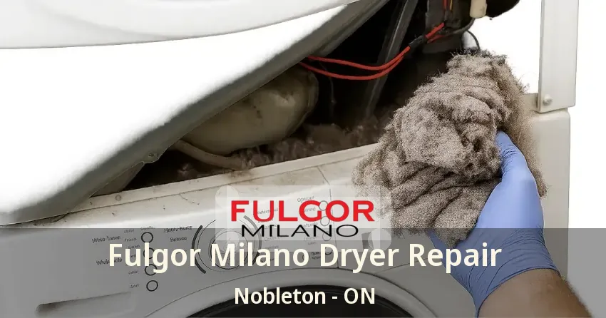 Fulgor Milano Dryer Repair Nobleton - ON