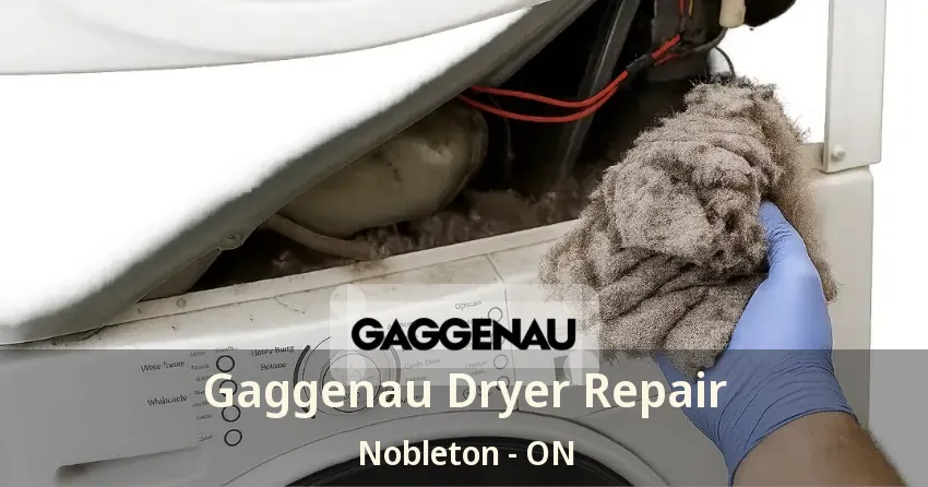 Gaggenau Dryer Repair Nobleton - ON