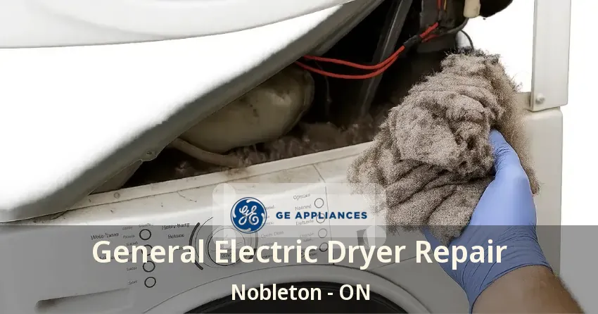 General Electric Dryer Repair Nobleton - ON