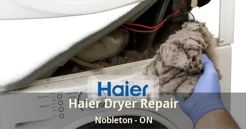 Haier Dryer Repair Nobleton - ON