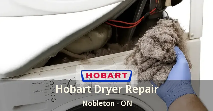 Hobart Dryer Repair Nobleton - ON