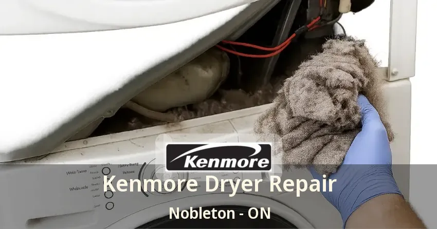 Kenmore Dryer Repair Nobleton - ON
